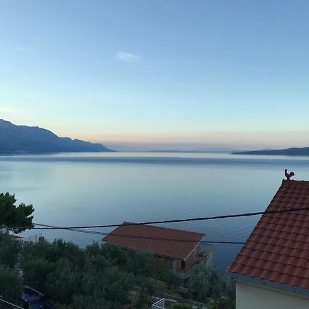 Hostel Dalmatia Marusici  Dış mekan fotoğraf