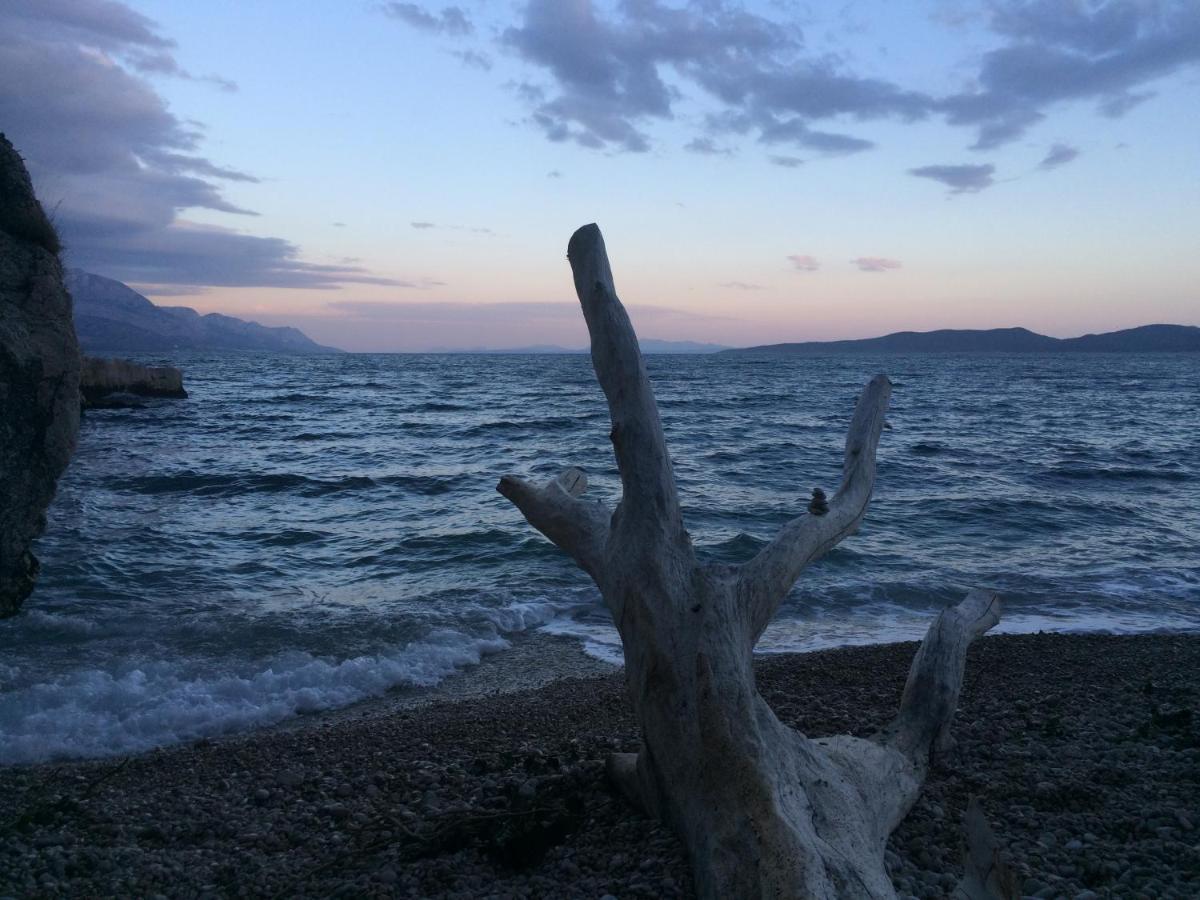 Hostel Dalmatia Marusici  Dış mekan fotoğraf