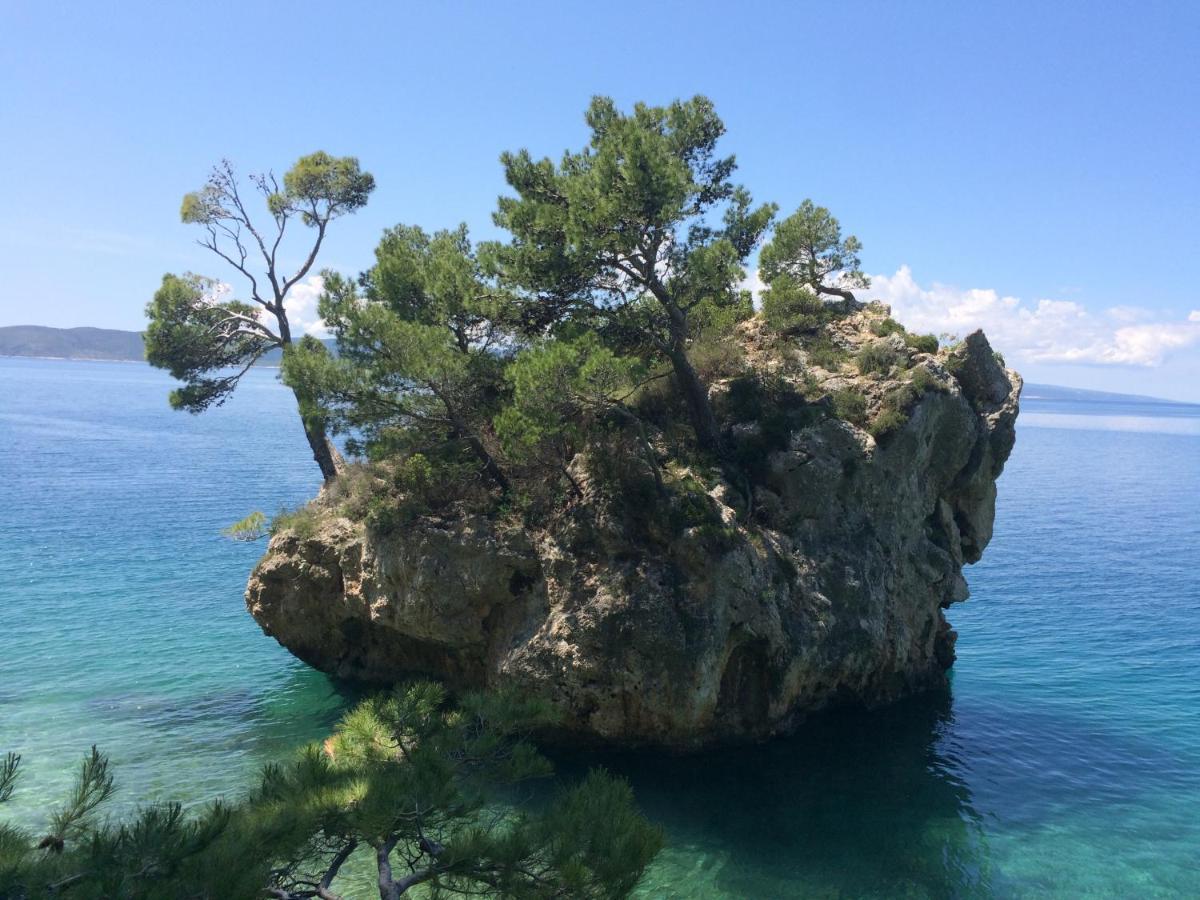 Hostel Dalmatia Marusici  Dış mekan fotoğraf