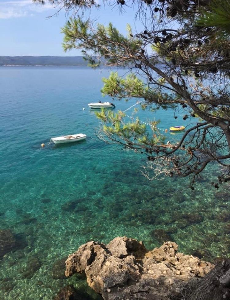 Hostel Dalmatia Marusici  Dış mekan fotoğraf