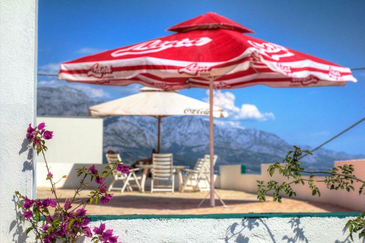 Hostel Dalmatia Marusici  Dış mekan fotoğraf